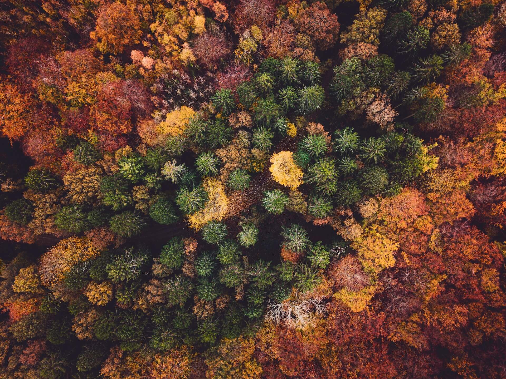 background gradient effect - this is an image